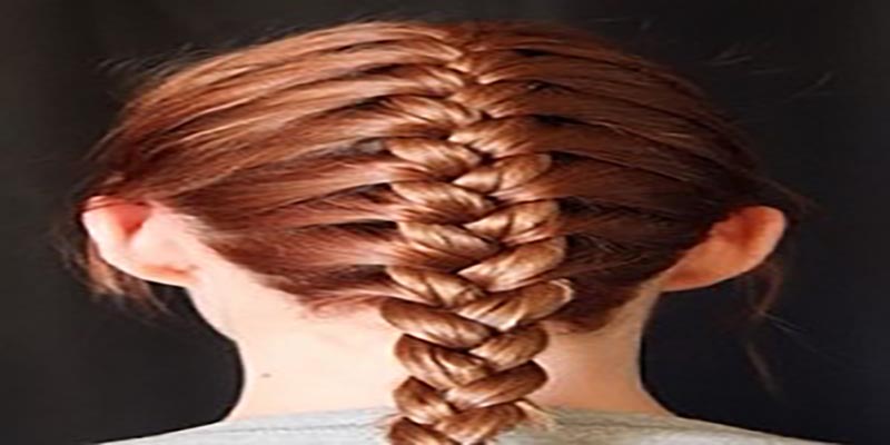 French Plait Hairstyle